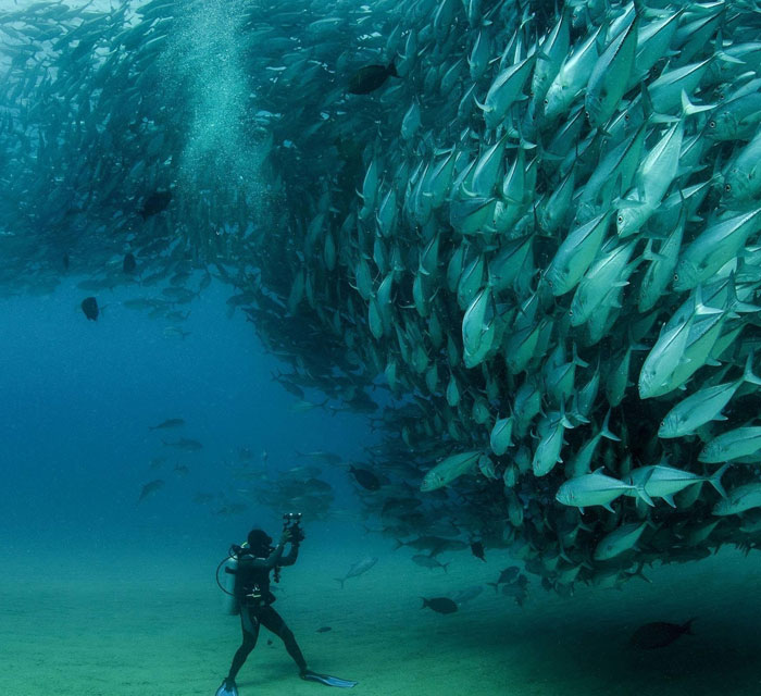 三亚往返康怡乐享蜈支洲双飞5天4晚